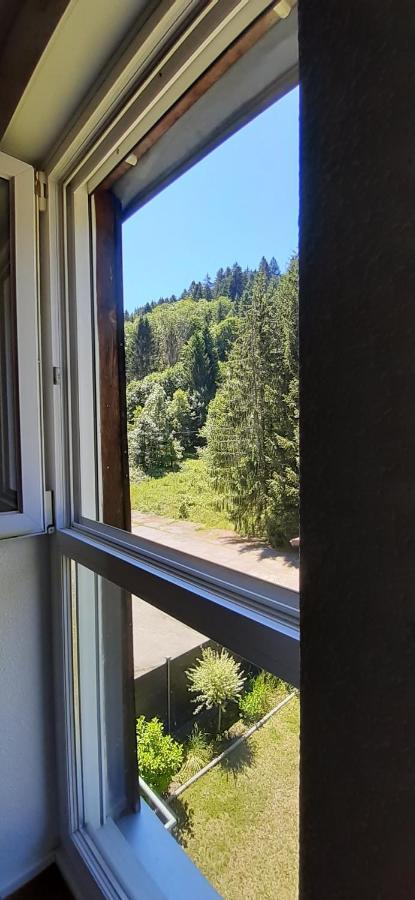 Le Montagnard Apartman Gérardmer Kültér fotó